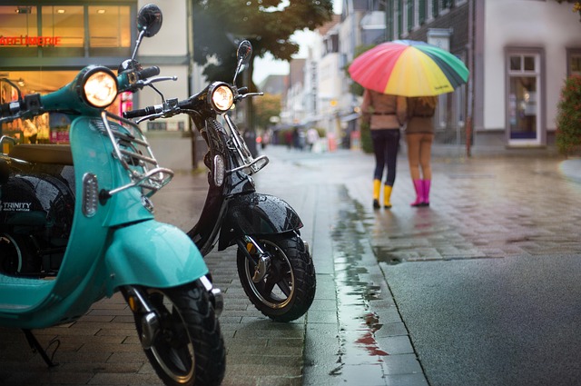 electric scooters for adults