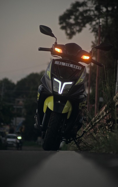 electric scooters for adults