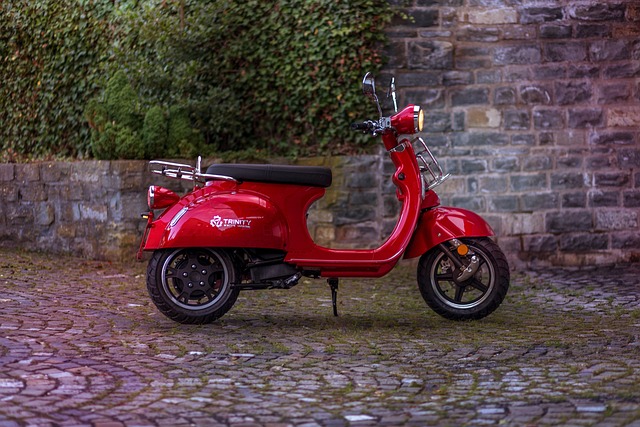 electric scooters for adults
