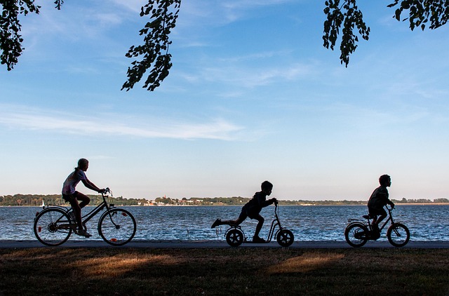 electric scooters for adults