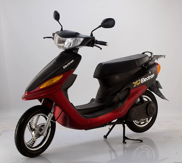 electric scooters for adults