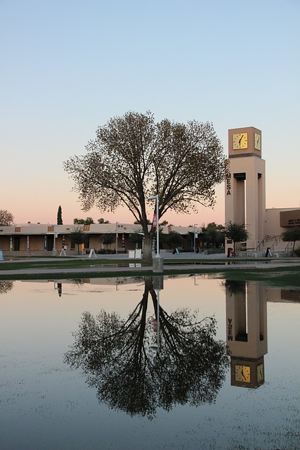EMDR therapy Mesa