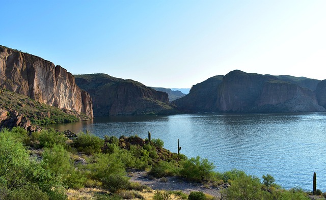 EMDR therapy Mesa