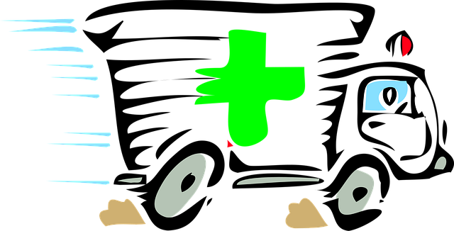 emergency medical call service