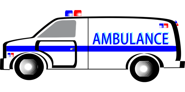 emergency medical call service