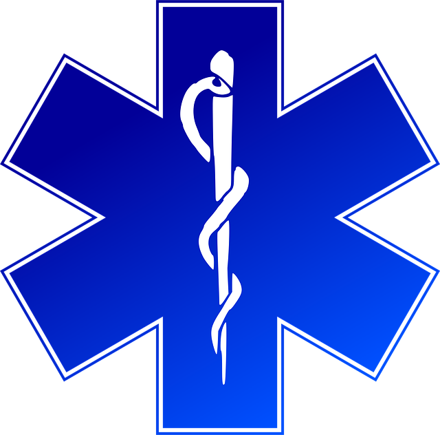 emergency medical call service