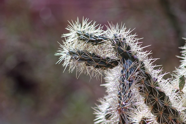 emotional well-being Scottsdale