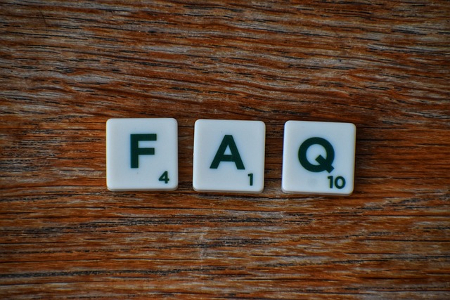 FAQ SEO Schema