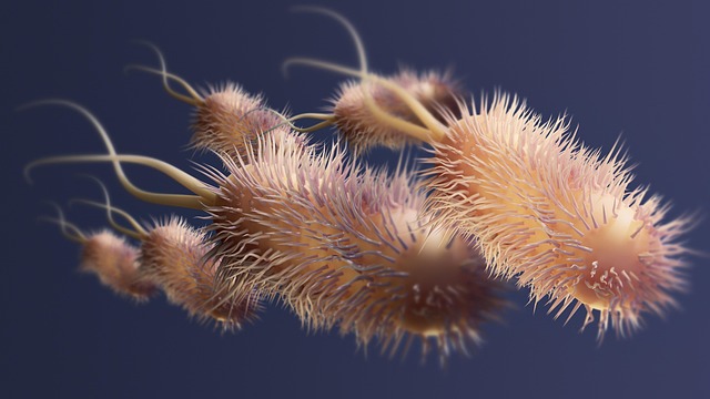 Fat Cell Freezing