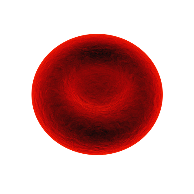 Fat Cell Freezing