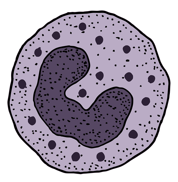 Fat Cell Freezing