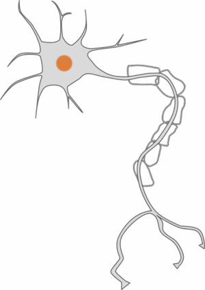 Targeted Fat Cell Freezing: Science-Backed Body Contouring for a Slimmer You