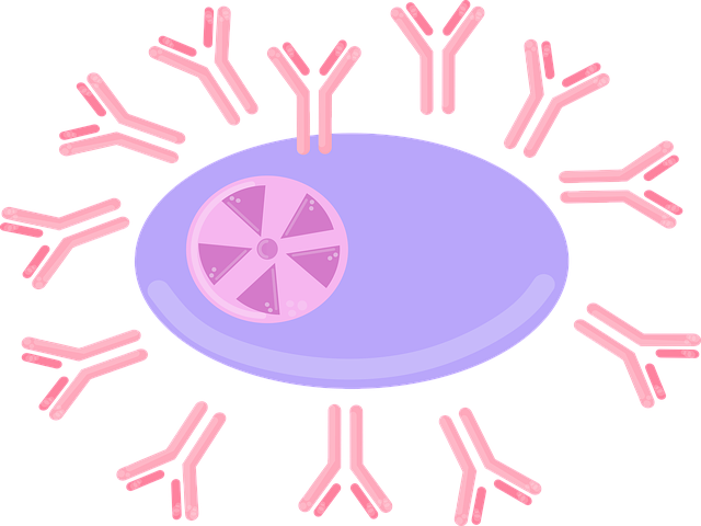 Fat Cell Freezing