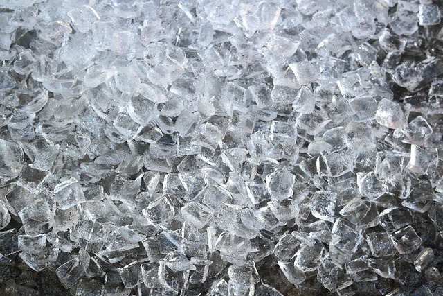 fat freezing technology