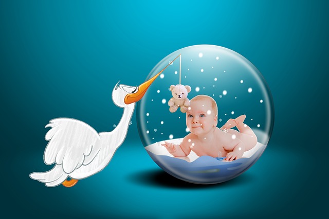 fertility support Austin