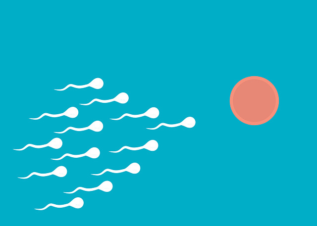 fertility support Austin