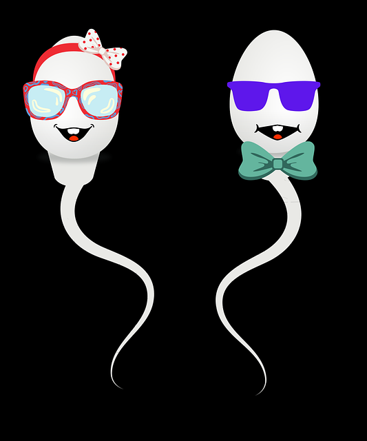 fertility support Austin