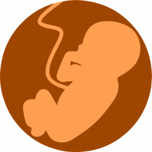 Acupuncture for Fertility: Natural Support for IVF Success