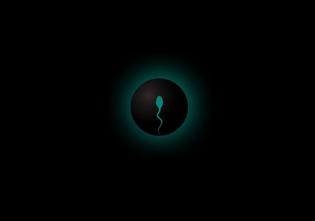 fertility support Austin