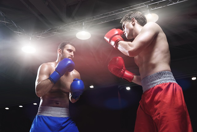 Fight training Scottsdale