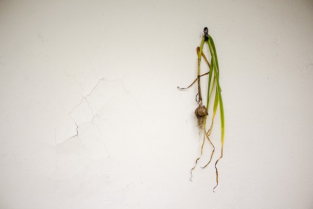 Fixing Foundation Cracks