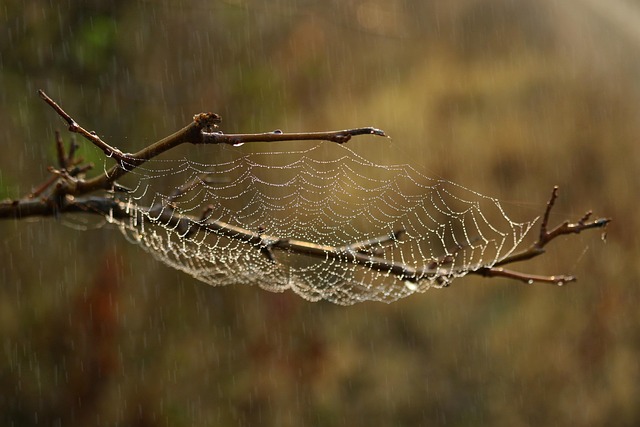 fluid web design