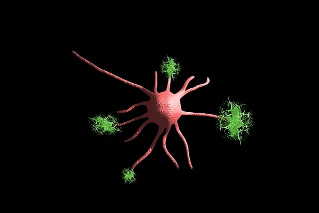 Freeze Fat Cells