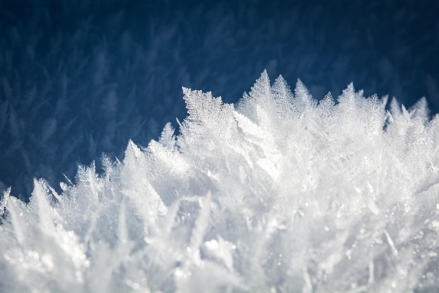 Freeze Fat Cells