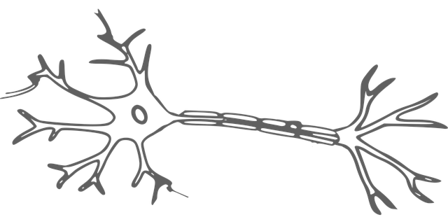 freeze-fat-cells-640x480-53422671.png
