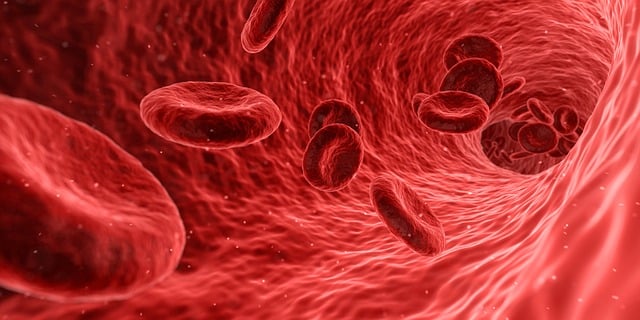 Freeze Fat Cells