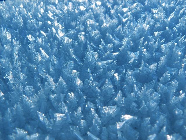 Freeze Fat Cells