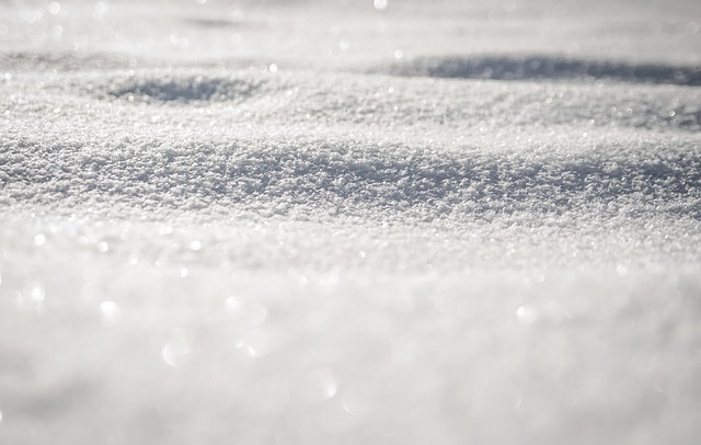 Freeze Fat Cells