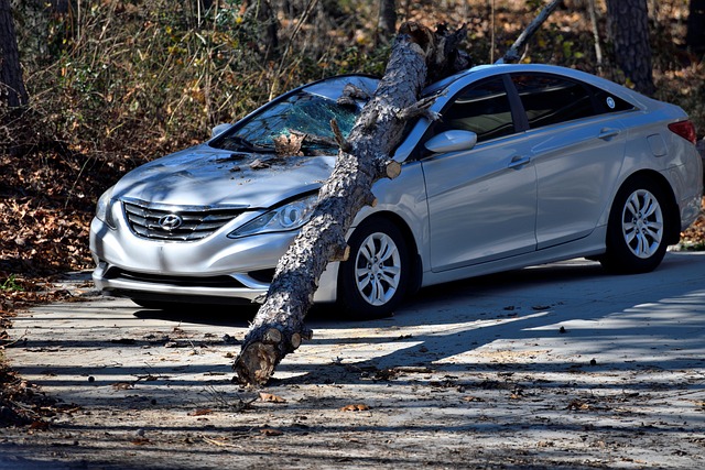 Full Coverage Insurance