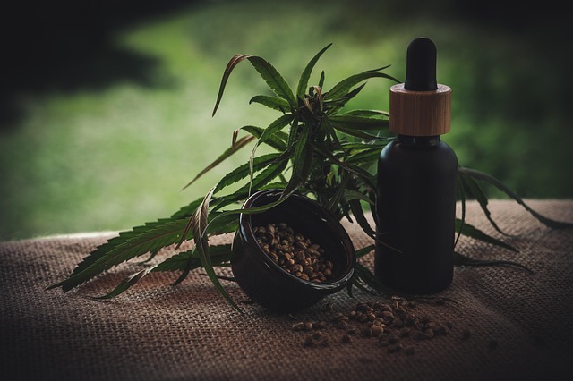 Full Spectrum CBD Gummies for Pain