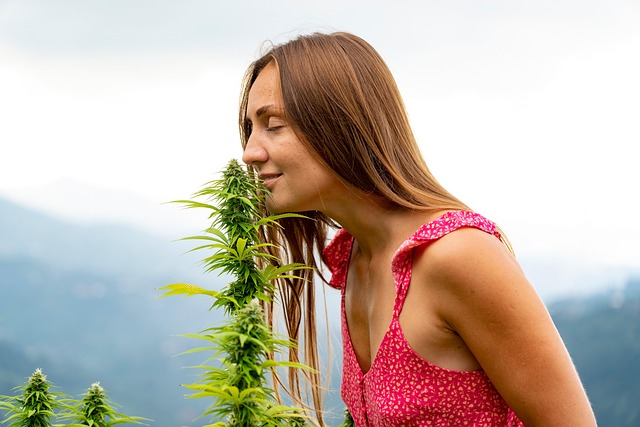 Full Spectrum Hemp Oil