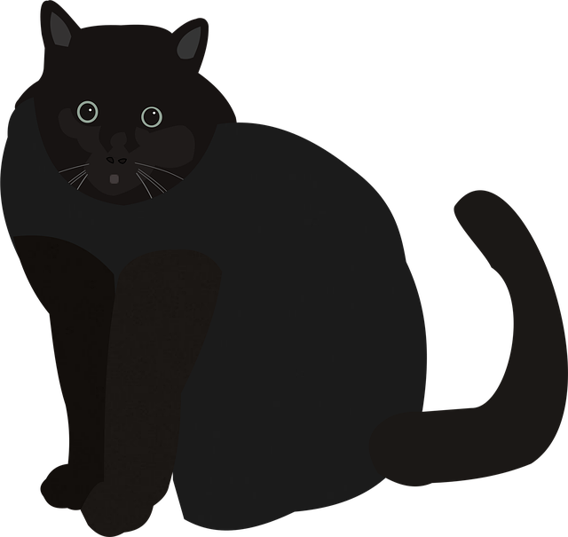 Gilbert fat reduction