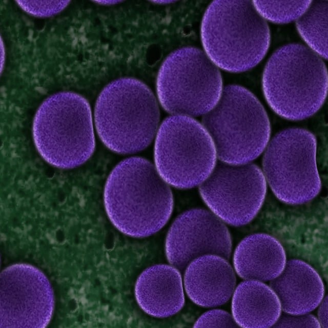 GLP-1 drugs