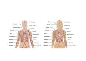 google-howto-schema-640x480-95235760.jpeg