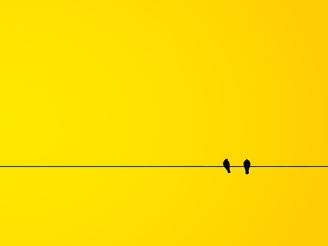 Graphic Design
