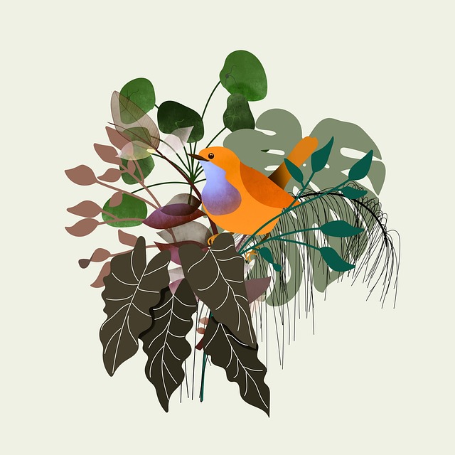 Graphic Design