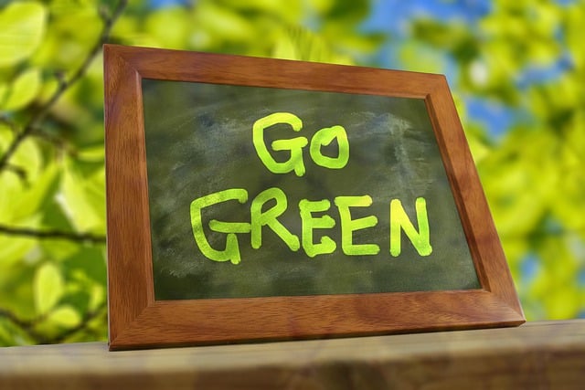 green roofing systems contractor