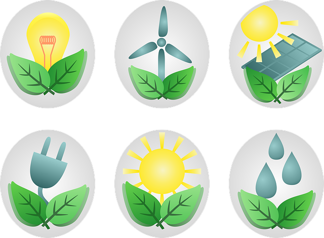 green roofing systems near me