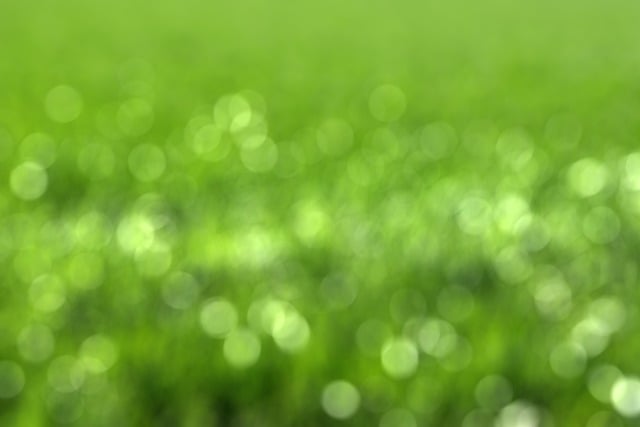 green roofing systems services