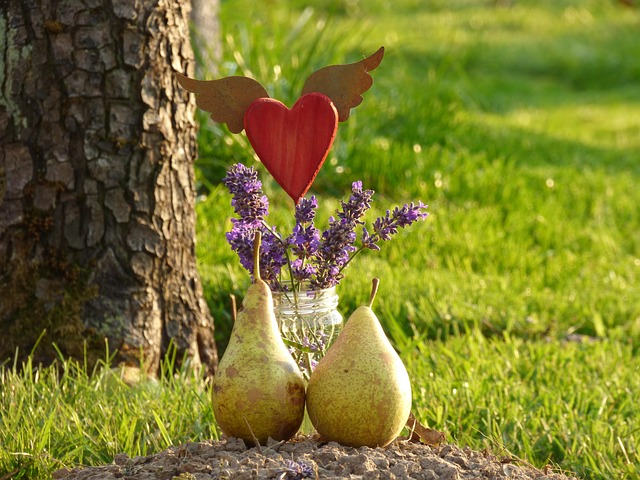 grief therapy Chandler AZ