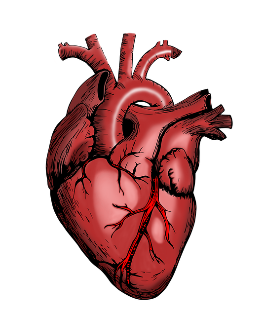 healthcare branding services