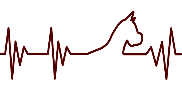 healthcare lead nurturing