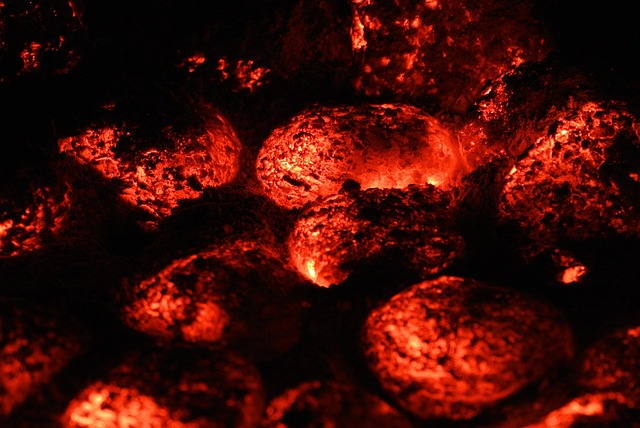 heated dog house