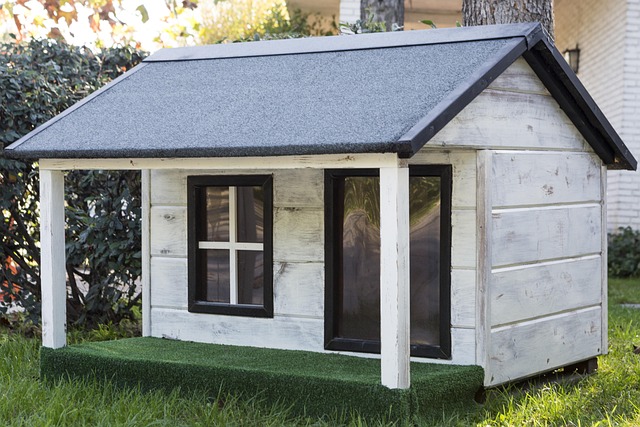 heated dog house