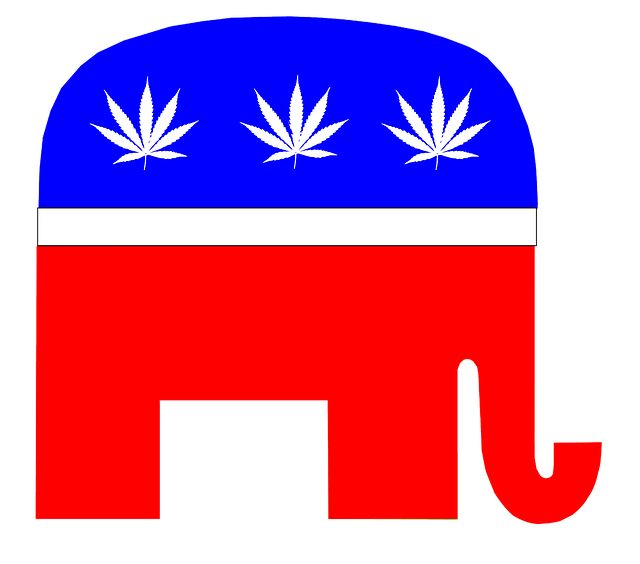 Hemp Terpenes for Sale