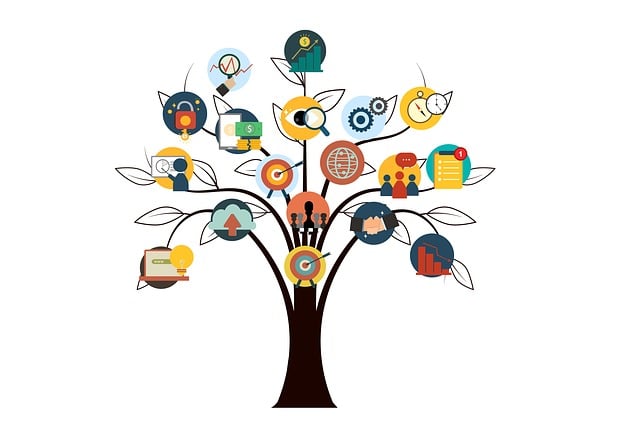 Hierarchy Schema